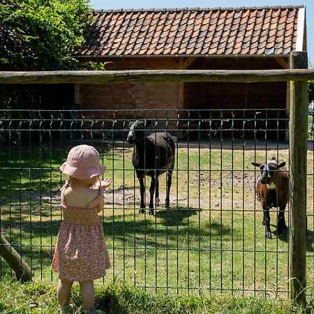 Hoeve De Binnenplaets Schimmert Luaran gambar