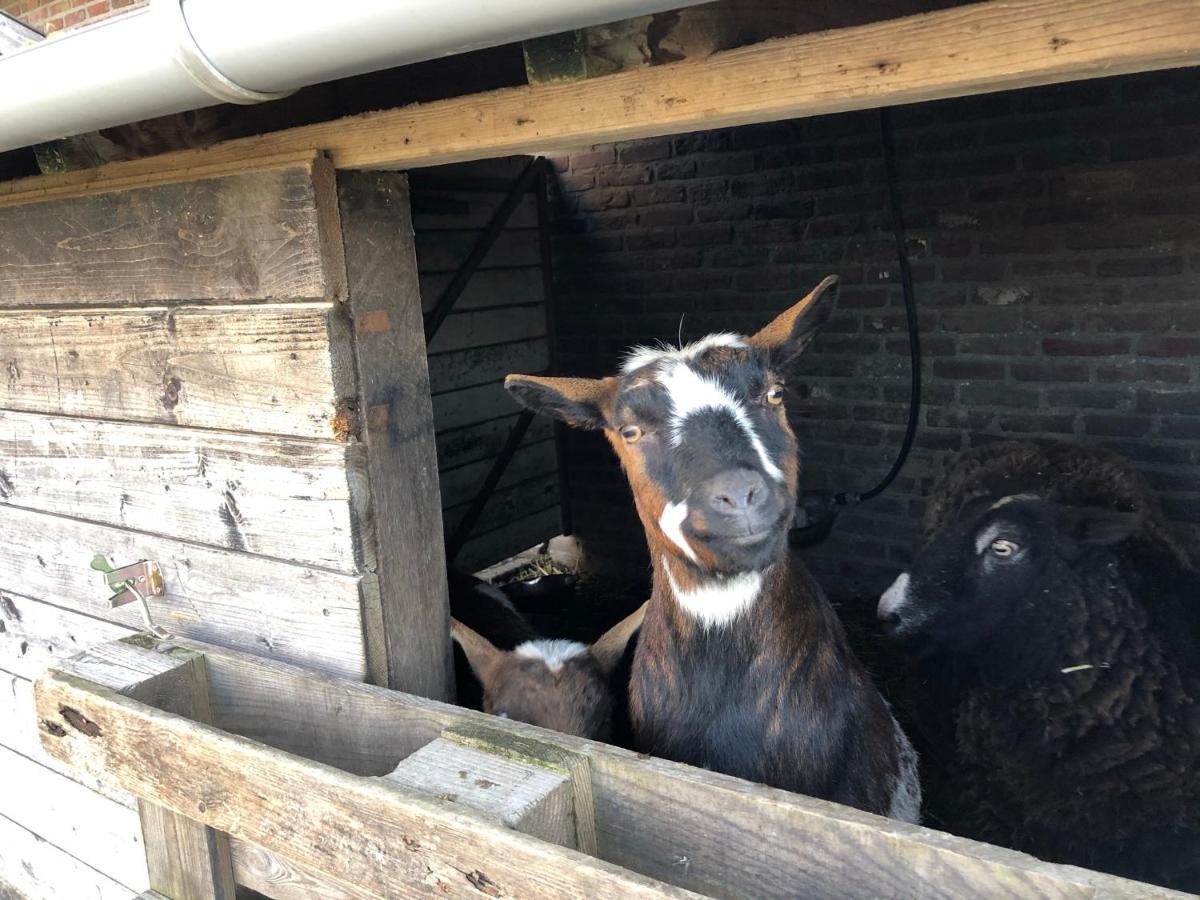 Hoeve De Binnenplaets Schimmert Luaran gambar