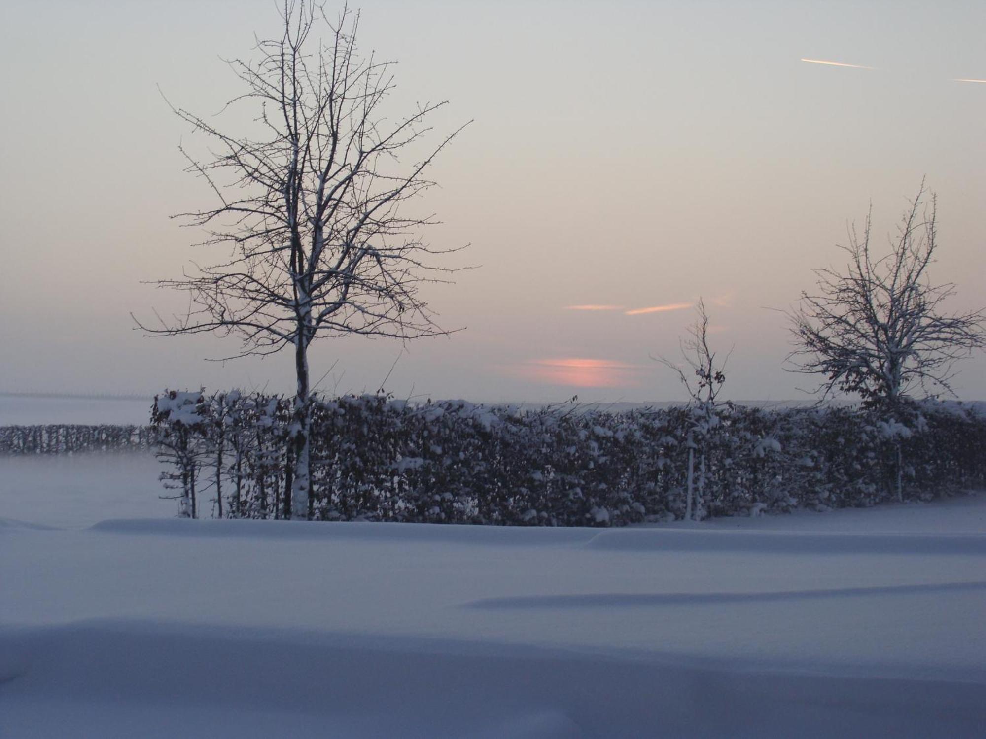 Hoeve De Binnenplaets Schimmert Luaran gambar