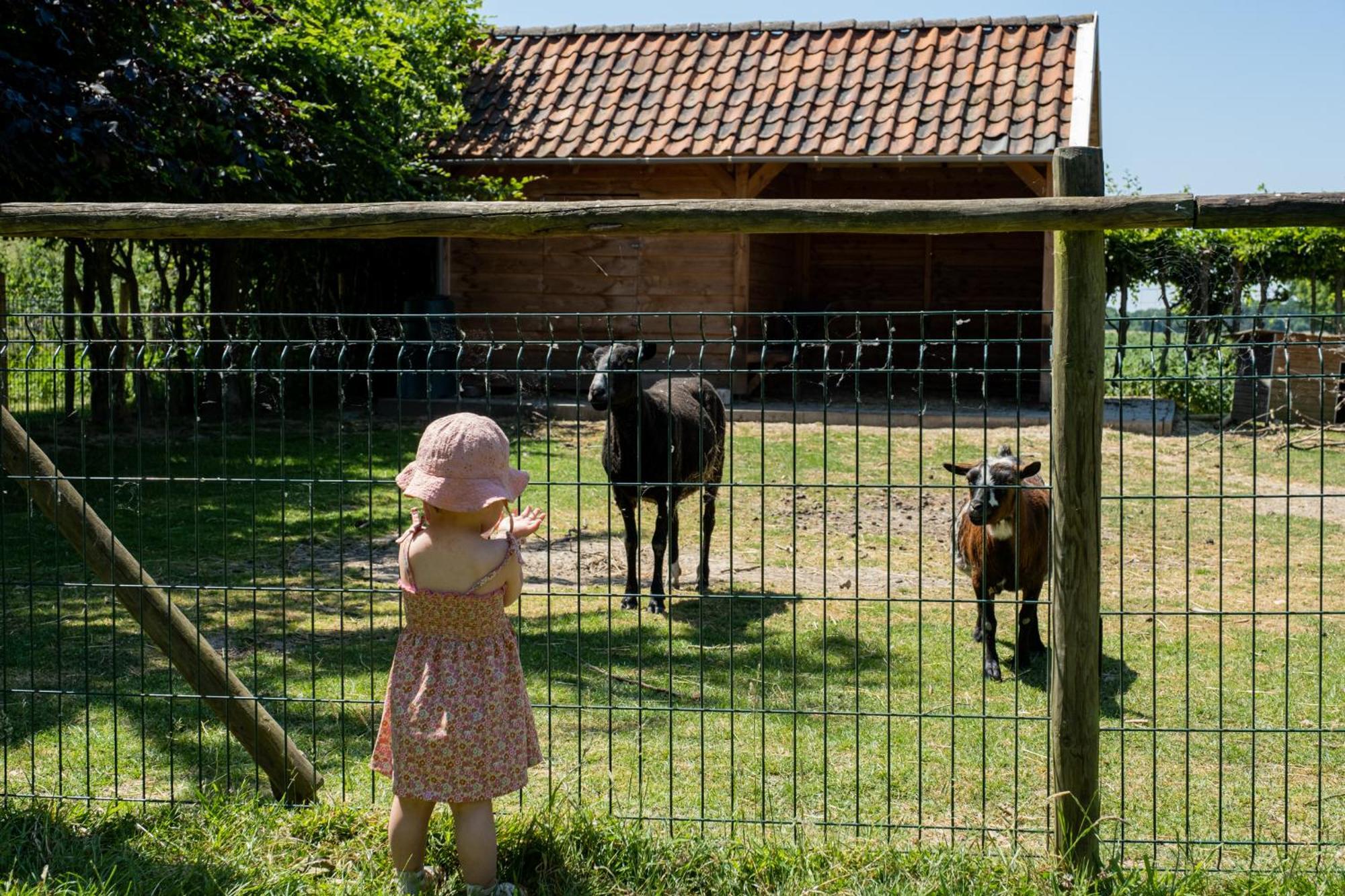 Hoeve De Binnenplaets Schimmert Luaran gambar